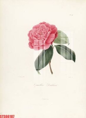 File PSD Tranh sơn dầu phương tây tổng hợp STS66187 (bản gốc) độ phân giải cao