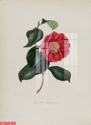 File tranh Tranh sơn dầu phương tây tổng hợp STS66190 (ảnh gốc) độc quyền