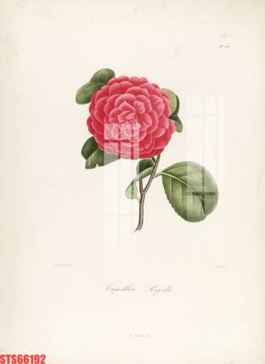 Download file gốc Tranh sơn dầu phương tây tổng hợp STS66192 (in mica) trang trí