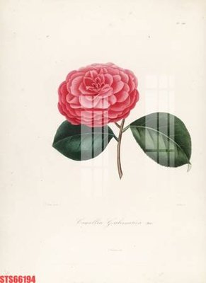 Chi tiết file ảnh Tranh sơn dầu phương tây tổng hợp STS66194 sắc nét