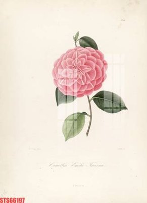 File tranh Tranh sơn dầu phương tây tổng hợp STS66197 (bản gốc) treo tường