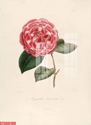 Download file Tranh sơn dầu phương tây tổng hợp STS66199 (chất lượng in ấn)