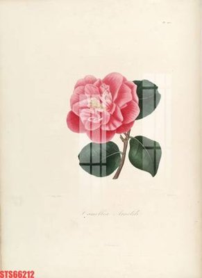 File tranh Tranh sơn dầu phương tây tổng hợp STS66212 (ảnh gốc) sắc nét hoàn hảo