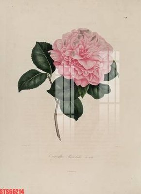 File tranh Tranh sơn dầu phương tây tổng hợp STS66214 (gốc) in trên kính