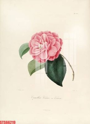 Cung cấp file tranh gốc Tranh sơn dầu phương tây tổng hợp STS66219 độc quyền