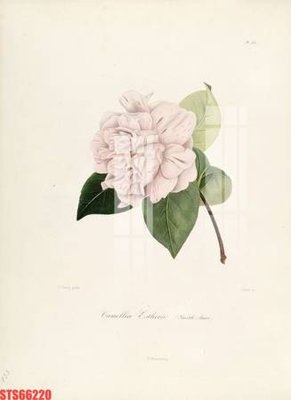 Tải file gốc Tranh sơn dầu phương tây tổng hợp STS66220 (in bạt) quảng cáo