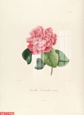 File in trần Tranh sơn dầu phương tây tổng hợp STS66221 (bản gốc) đại dương