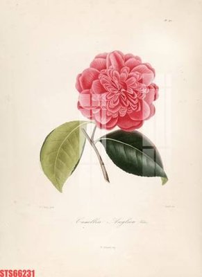 File PSD Tranh sơn dầu phương tây tổng hợp STS66231 (gốc) tách lớp chi tiết