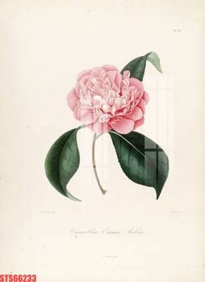 Ảnh gốc file in lụa Tranh sơn dầu phương tây tổng hợp STS66233 chi tiết