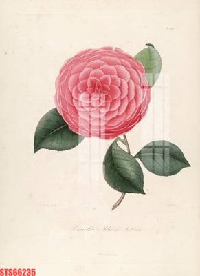 File tranh Tranh sơn dầu phương tây tổng hợp STS66235 (ảnh gốc) sắc nét hoàn hảo