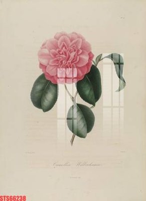 Tải file Tranh sơn dầu phương tây tổng hợp STS66238 (gốc) làm tranh treo tường