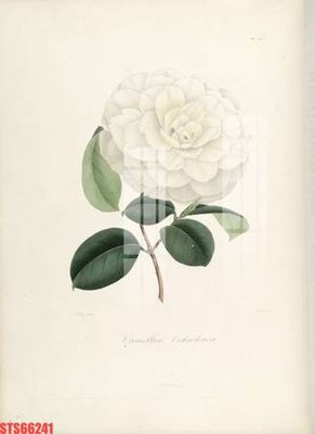 File gốc Tranh sơn dầu phương tây tổng hợp STS66241 (PNG) không nền chất lượng