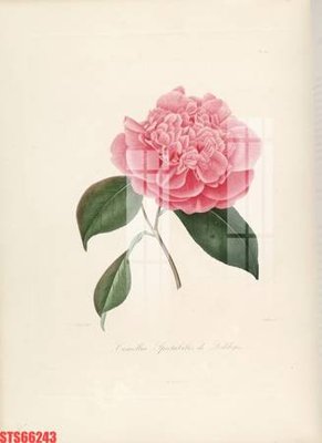 File gốc Tranh sơn dầu phương tây tổng hợp STS66243 (in 3D) nghệ thuật