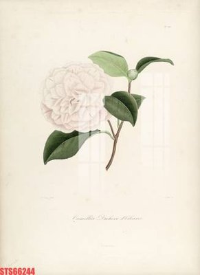 File gốc Tranh sơn dầu phương tây tổng hợp STS66244 (PNG) không nền chất lượng