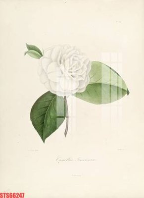 Tải file gốc Tranh sơn dầu phương tây tổng hợp STS66247 (in tráng gương) 5DFile gốc Tranh sơn dầu phương tây tổng hợp STS66247 (in ấn) phiên bản premium