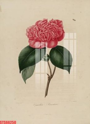 Tải file gốc Tranh sơn dầu phương tây tổng hợp STS66250 (bản PSD) chỉnh sửa được