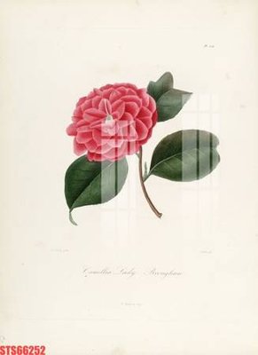 File tranh Tranh sơn dầu phương tây tổng hợp STS66252 (gốc) chủ đề trẻ em