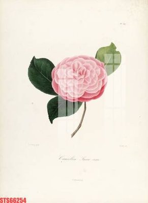 File gốc Tranh sơn dầu phương tây tổng hợp STS66254 (PNG) chất lượng cao