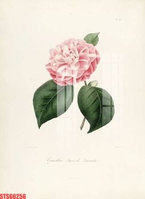 File gốc in ấn Tranh sơn dầu phương tây tổng hợp STS66256 (sẵn sàng tải về)