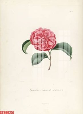 File gốc Tranh sơn dầu phương tây tổng hợp STS66257 (in 3D) cho trang trí