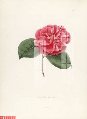 File ảnh Tranh sơn dầu phương tây tổng hợp STS66260 (gốc) dùng in Pano