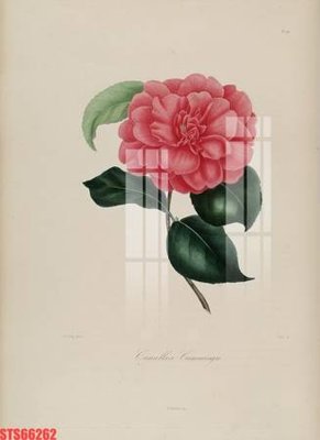 File ảnh Tranh sơn dầu phương tây tổng hợp STS66262 (gốc) in quảng cáo ngoài trời