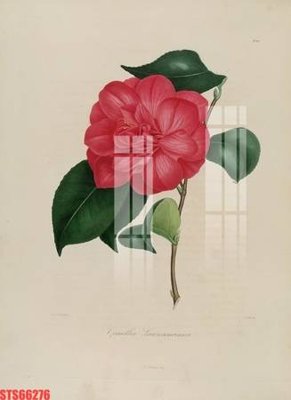 File tranh Tranh sơn dầu phương tây tổng hợp STS66276 (ảnh gốc) không bị mờ