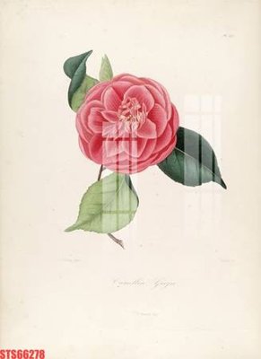 Ảnh mô tả file gốc in mica Tranh sơn dầu phương tây tổng hợp STS66278