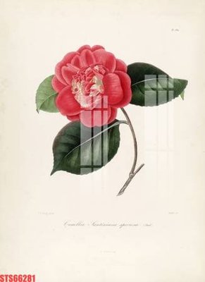 File gốc Tranh sơn dầu phương tây tổng hợp STS66281 (ảnh chi tiết) để in ấn