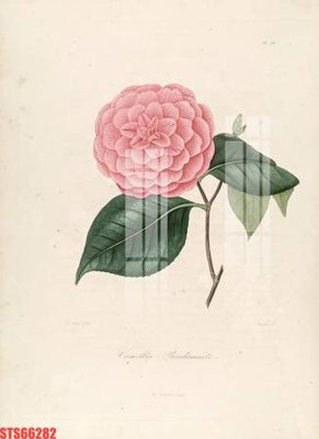 Tải file Tranh sơn dầu phương tây tổng hợp STS66282 (ảnh gốc) độ phân giải 300dpi