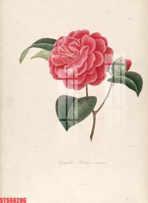 Download file gốc Tranh sơn dầu phương tây tổng hợp STS66286 (in lụa) cao cấp