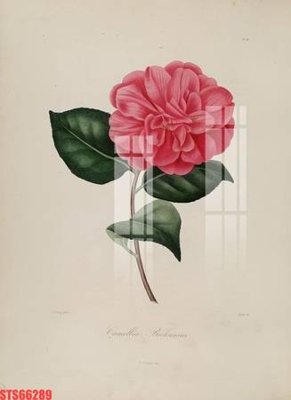 File tranh PSD Tranh sơn dầu phương tây tổng hợp STS66289 chất lượng cao