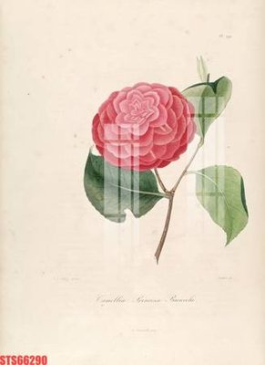 File in trần Tranh sơn dầu phương tây tổng hợp STS66290 (file gốc) hoa văn 3D