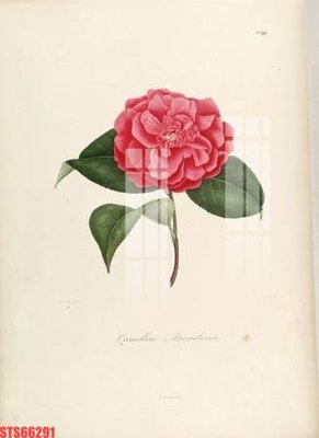 Tải file gốc in lụa Tranh sơn dầu phương tây tổng hợp STS66291 siêu nét