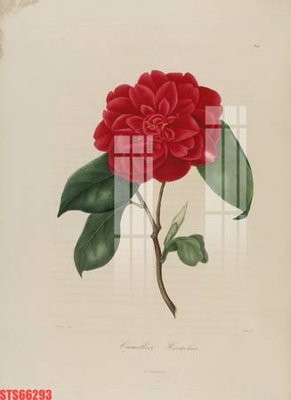 File tranh Tranh sơn dầu phương tây tổng hợp STS66293 (bản gốc) trang trí văn phòng