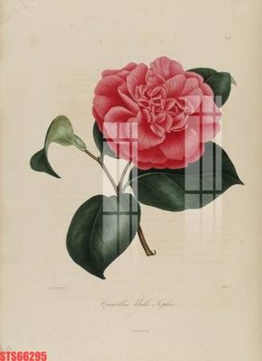 File tranh Tranh sơn dầu phương tây tổng hợp STS66295 (ảnh gốc) chi tiết rõ ràng