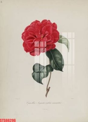 File tranh trang trí Tranh sơn dầu phương tây tổng hợp STS66296 (file gốc)