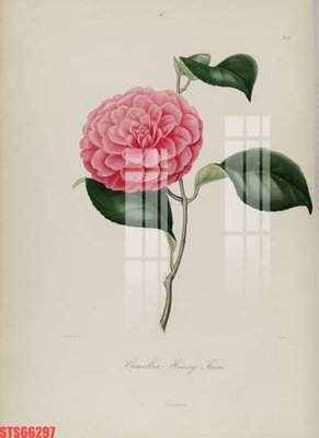 Tải file gốc Tranh sơn dầu phương tây tổng hợp STS66297 (in tráng gương) 5DFile gốc Tranh sơn dầu phương tây tổng hợp STS66297 (in ấn) phiên bản premium