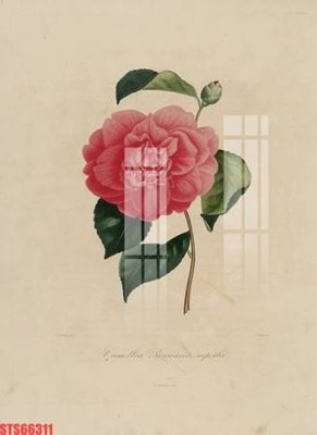 File gốc Tranh sơn dầu phương tây tổng hợp STS66311 (in lụa) tranh thuận buồm