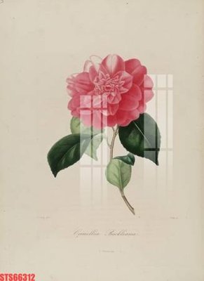 File tranh gốc Tranh sơn dầu phương tây tổng hợp STS66312 (bản quyền) file PSD