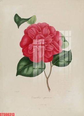 Tải file gốc Tranh sơn dầu phương tây tổng hợp STS66313 (in khổ lớn) không vỡ