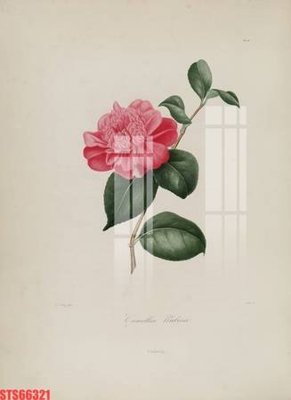 Hình ảnh file gốc in trần nhà Tranh sơn dầu phương tây tổng hợp STS66321