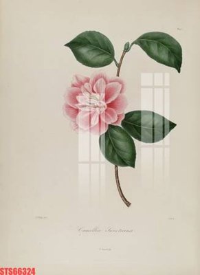 File gốc Tranh sơn dầu phương tây tổng hợp STS66324 (in lụa) tranh phong thủy