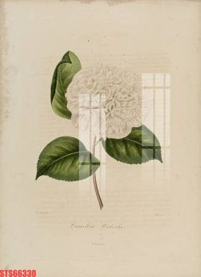 File in lụa Tranh sơn dầu phương tây tổng hợp STS66330 (phong cảnh) Tranh sơn dầu phương tây tổng hợp STS66330