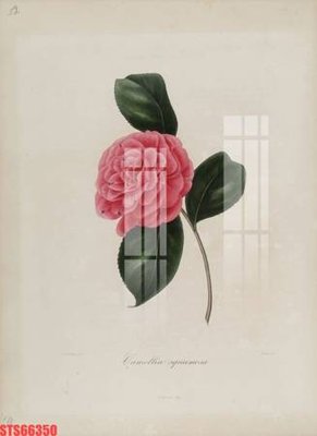 Tải file gốc Tranh sơn dầu phương tây tổng hợp STS66350 (in khổ lớn) không vỡ