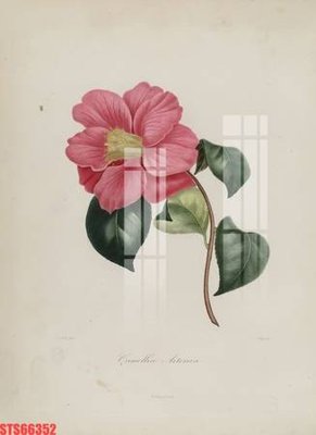 Tải về file gốc Tranh sơn dầu phương tây tổng hợp STS66352 (chuẩn in ấn)