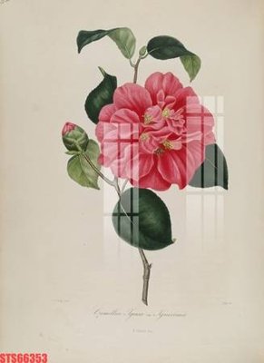 File gốc Tranh sơn dầu phương tây tổng hợp STS66353 (cho in 3D) độc đáo