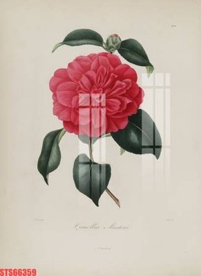 File tranh Tranh sơn dầu phương tây tổng hợp STS66359 (gốc) chủ đề thiên nhiên