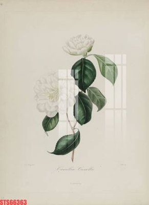 Download file gốc Tranh sơn dầu phương tây tổng hợp STS66363 (độ nét cao)