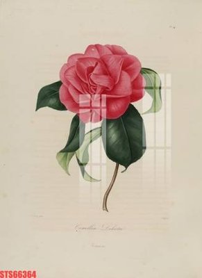 File ảnh gốc Tranh sơn dầu phương tây tổng hợp STS66364 không vỡ nét